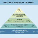 Maslow’s Hierarchy of Needs Examples