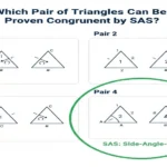 Which Pair of Triangles Can be Proven Congruent by Sas?