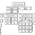 who has overall responsibility for managing the on-scene incident?